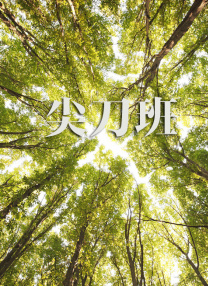 永久视频